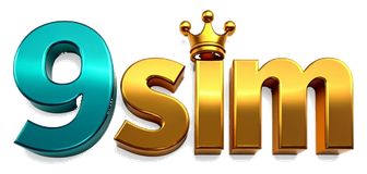 9sim